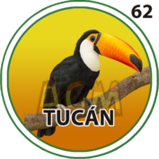 62 TUCÁN
