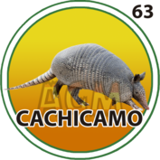 63 CACHICAMO