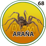 68 ARAÑA