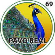 69 PAVOREAL