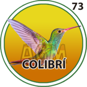 73 COLIBRI
