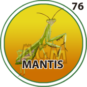 76 MANTIS