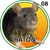 8 RATÓN