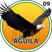 9 AGUILA