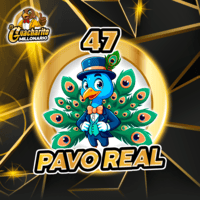 47 PAVO REAL
