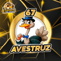 67 AVESTRUZ