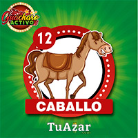 Guacharo Activo — 12 CABALLO