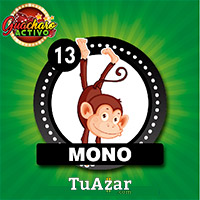 13 MONO