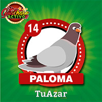 14 PALOMA