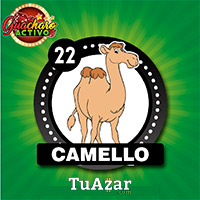 CAMELLO