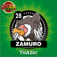 Guacharo Activo — 28 ZAMURO