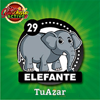 29 ELEFANTE