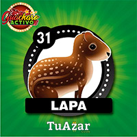 LAPA