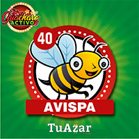 40 AVISPA