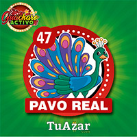 47 PAVO REAL