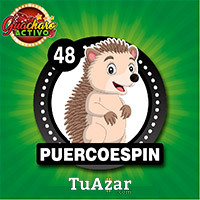 48 PUERCOESPÍN