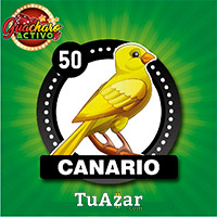 50 CANARIO