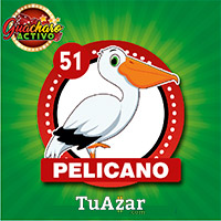 51 PELICANO