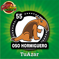 Guacharo Activo — 55 HORMIGUERO