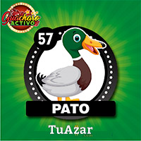 57 PATO