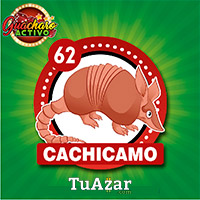 CACHICAMO