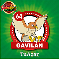 GAVILÁN