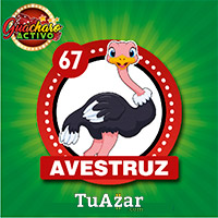 67 AVESTRUZ