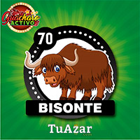 70 BISONTE