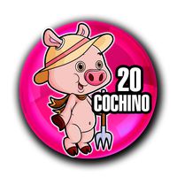 Loto Chaima — 20 COCHINO