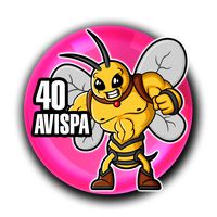 Loto Chaima — 40 AVISPA