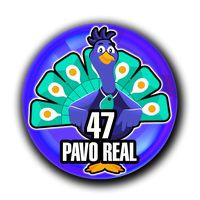 Loto Chaima — 47 PAVO REAL