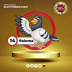 Lotto Activo RD Internacional — 14 PALOMA