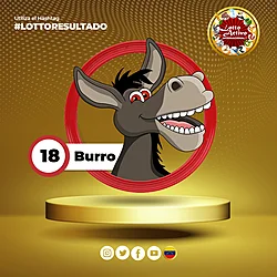18 BURRO