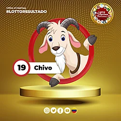 Lotto Activo RD Internacional — 19 CHIVO