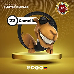 22 CAMELLO