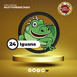 24 IGUANA