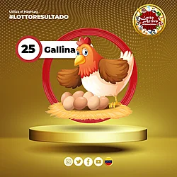 25 GALLINA