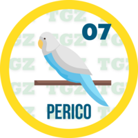 7 PERICO