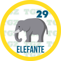 29 ELEFANTE