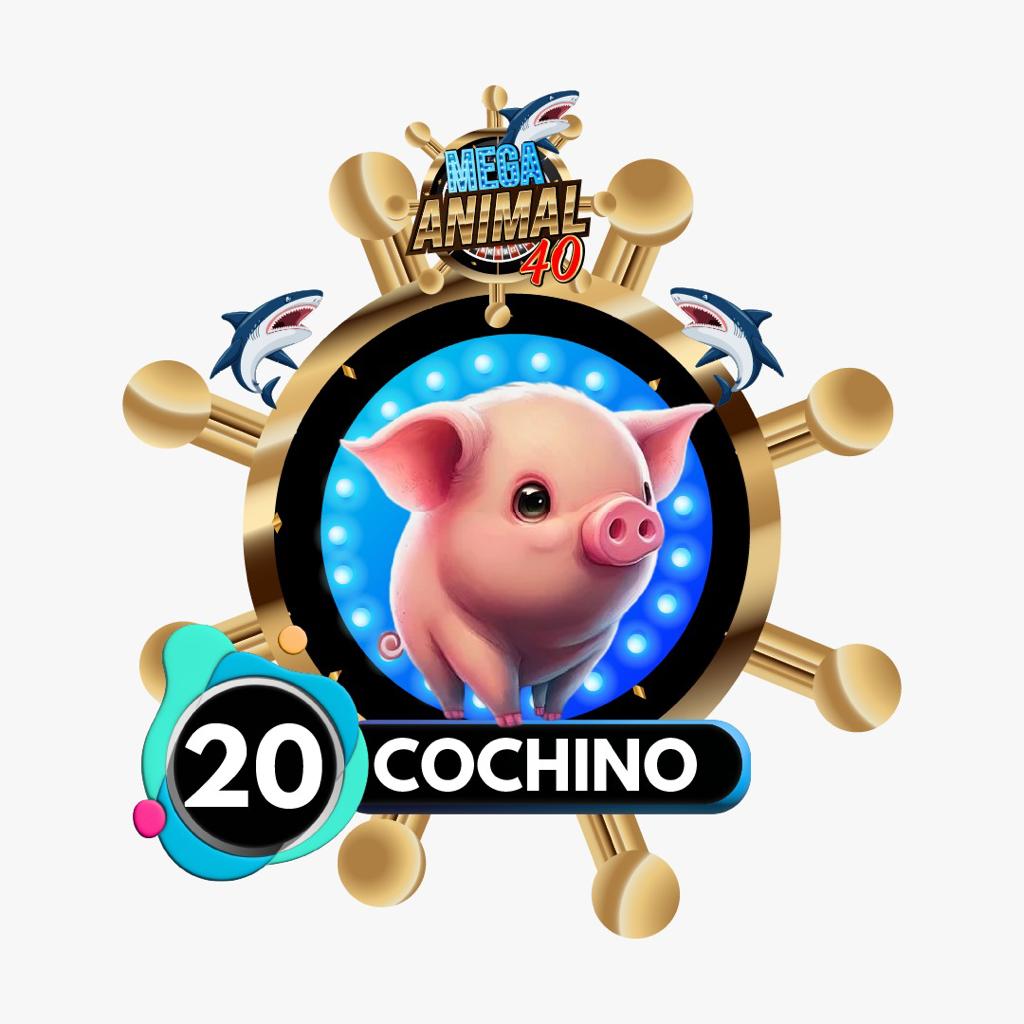 20 COCHINO
