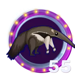 55 OSO HORMIGUERO