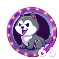 66 LOBO