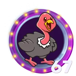 67 AVESTRUZ