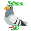 PALOMA