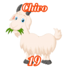 CHIVO
