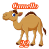 CAMELLO