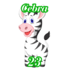 CEBRA