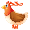GALLINA