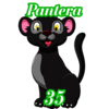 PANTERA