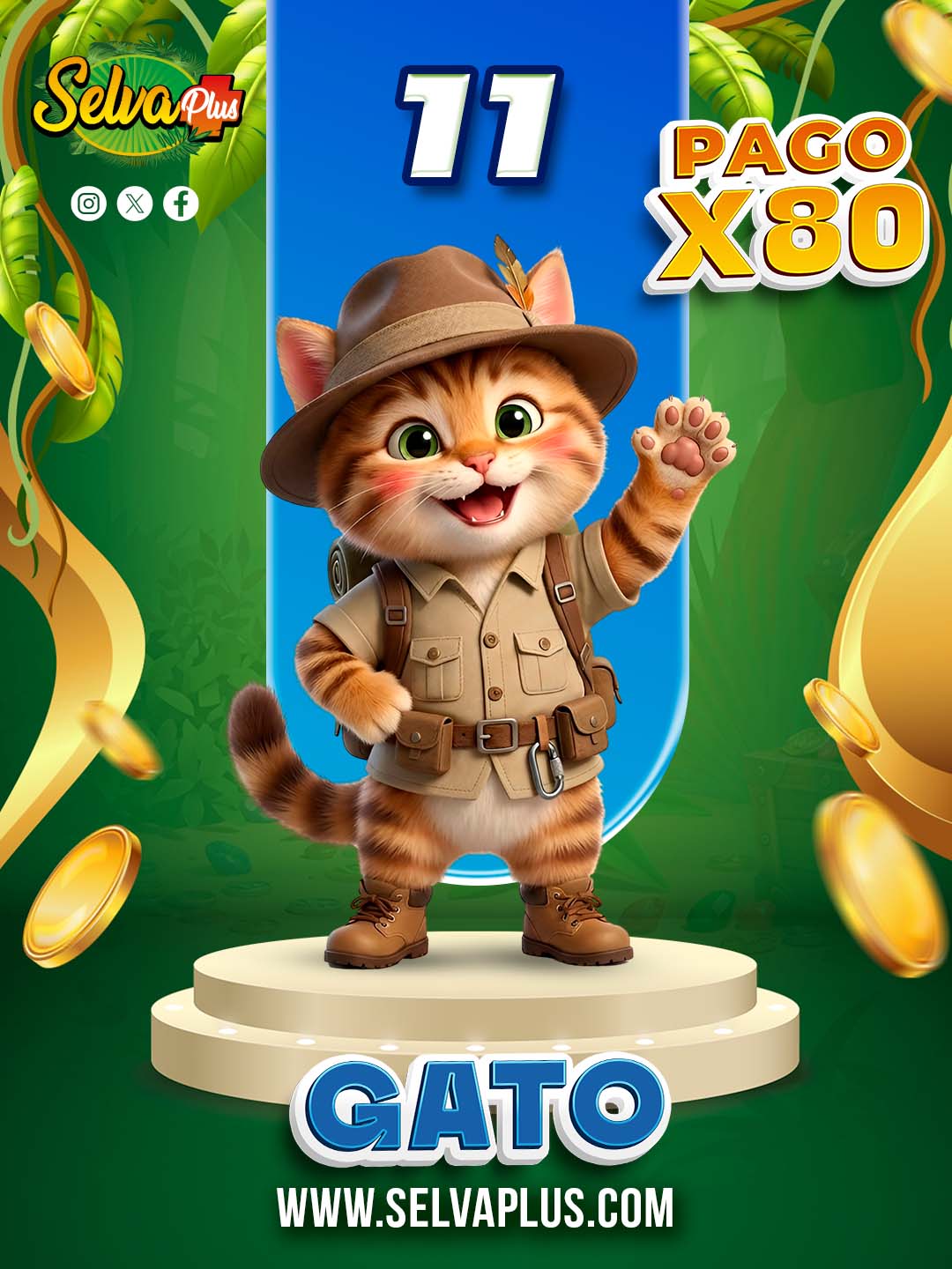 11 GATO